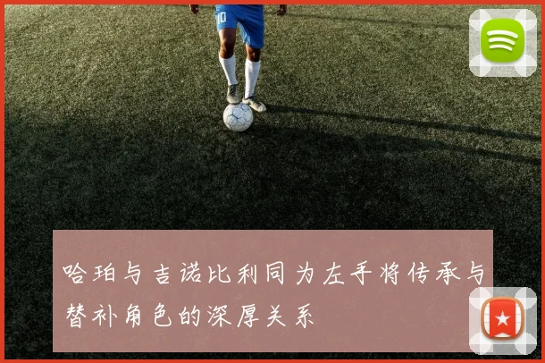 哈珀与吉诺比利同为左手将传承与替补角色的深厚关系